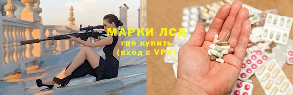 ешки Алексин