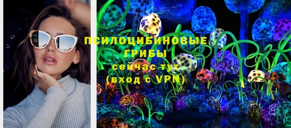 ГАЛЛЮЦИНОГЕННЫЕ ГРИБЫ Алексеевка