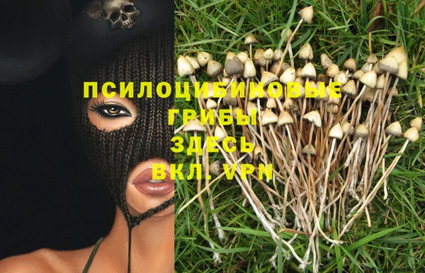 spice Зеленокумск