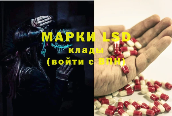 ГАЛЛЮЦИНОГЕННЫЕ ГРИБЫ Алзамай
